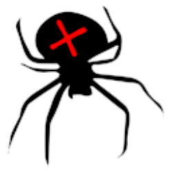 SpiderAid IT Consulting